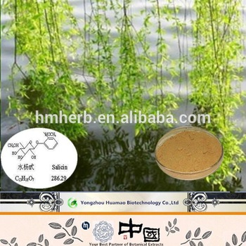 High Quality White willow Bark Extract/5%-98% salicin HPLC 
